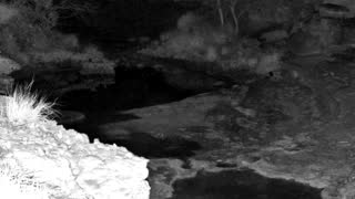Still 1 from this detection