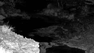 Still 2 from this detection