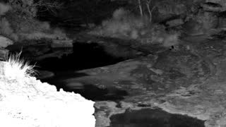 Still 3 from this detection