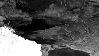 Still 1 from this detection