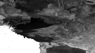 Still 2 from this detection
