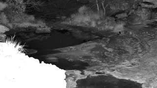 Still 3 from this detection