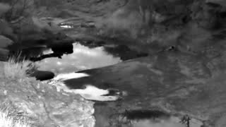 Still 2 from this detection