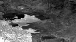 Still 2 from this detection
