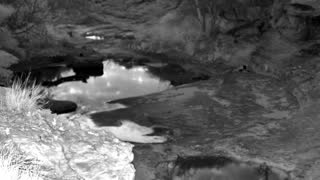 Still 3 from this detection