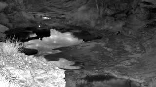 Still 1 from this detection