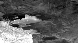 Still 3 from this detection