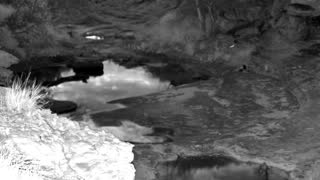 Still 2 from this detection