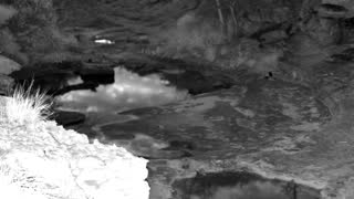 Still 1 from this detection