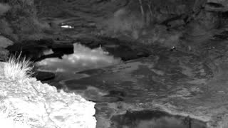 Still 2 from this detection