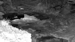 Still 3 from this detection