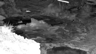 Still 1 from this detection