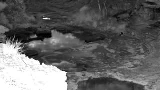 Still 3 from this detection