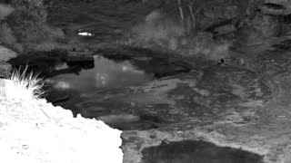 Still 1 from this detection