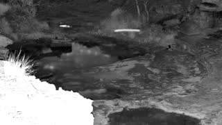 Still 1 from this detection