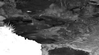 Still 3 from this detection