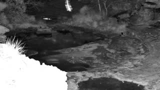 Still 2 from this detection