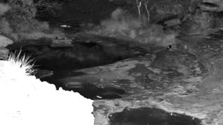 Still 3 from this detection