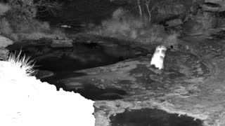 Still 1 from this detection