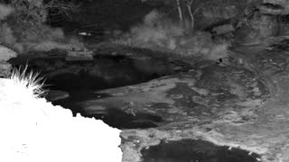 Still 3 from this detection