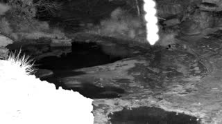 Still 1 from this detection