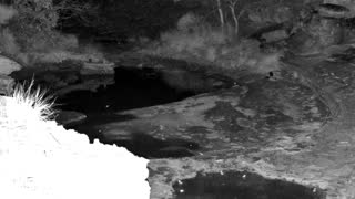 Still 2 from this detection