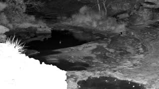 Still 3 from this detection
