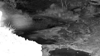 Still 1 from this detection