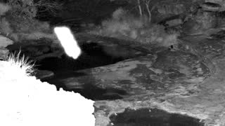 Still 1 from this detection
