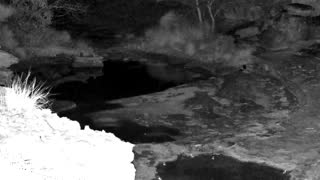 Still 1 from this detection