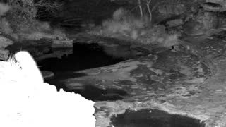Still 2 from this detection