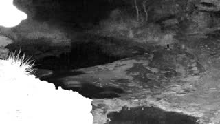 Still 2 from this detection