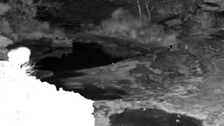 Still 1 from this detection