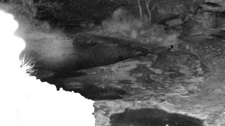 Still 1 from this detection