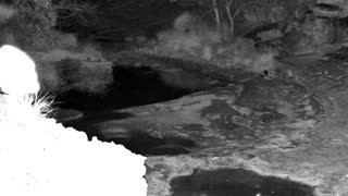 Still 2 from this detection
