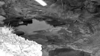 Still 1 from this detection
