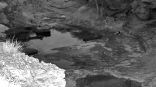 Still 2 from this detection