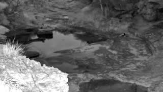 Still 3 from this detection