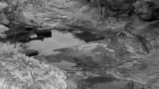 Still 1 from this detection