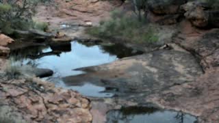 Still 3 from this detection