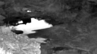Still 1 from this detection
