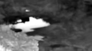Still 2 from this detection
