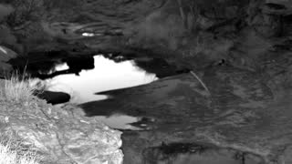 Still 1 from this detection