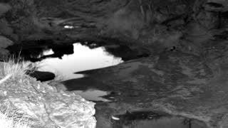 Still 2 from this detection