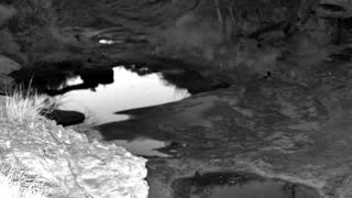 Still 1 from this detection