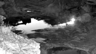 Still 2 from this detection