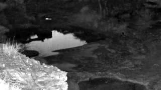 Still 1 from this detection