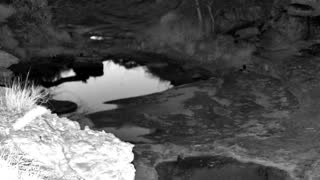 Still 3 from this detection