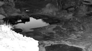 Still 2 from this detection