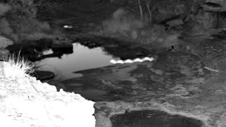Still 3 from this detection
